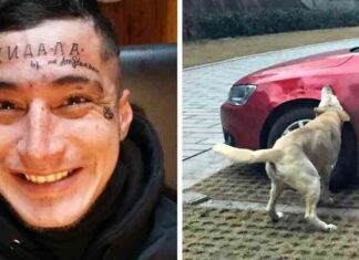 18 фотографій, які доводять, що помста може бути різною