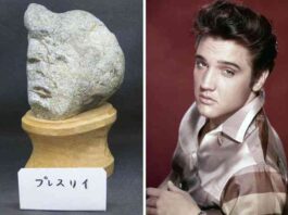 Японський музей тінсекікан колекціонує камені, схожі на обличчя