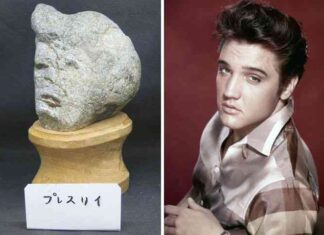 Японський музей тінсекікан колекціонує камені, схожі на обличчя
