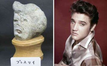 Японський музей тінсекікан колекціонує камені, схожі на обличчя