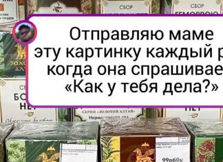 20 + сімей, в яких почуття гумору на першому місці