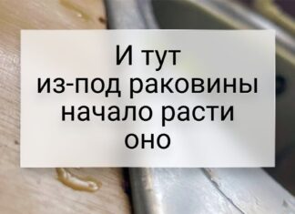 18 випадків, коли природа показала, хто тут насправді головний