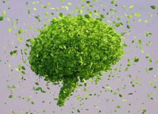 Стимуляція мозку призвела до більш “екологічних” рішень