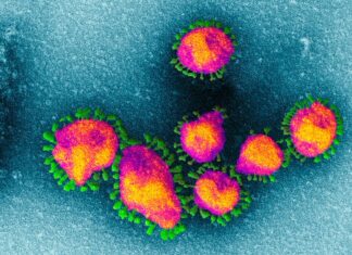 В африці виявили новий потенційно небезпечний штам коронавірусу. Він вже потрапив до китаю