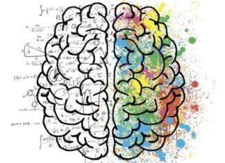 Завжди на зв’язку. Створено новий інтерфейс «мозок-комп’ютер» для домашнього застосування