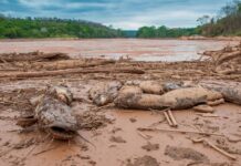 Тень Фундао: Восемь лет спустя – экологическая рана, которая не заживает