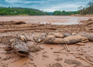 Тень Фундао: Восемь лет спустя – экологическая рана, которая не заживает
