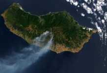 Огненное дыхание Мадейры: Лесные пожары пожирают остров