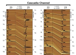 Тайны Каскадии: Алгоритм Подрывает Основы Понимания Землетрясений