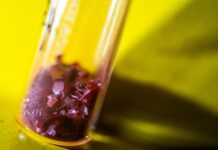 Революция Солнца: Перовскитные Солнечные Панели Готовы Который Шаг к Энергетическому Будущему