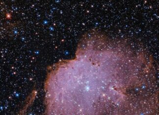 Рождение Звезд в Небесной Кузне: Хаббл Исследует NGC 261