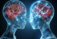 Хэппи-эндинг заложен в биологии: Ученые раскрыли тайну синхронизации и романтического влечения