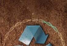 Пластик, который сам себя съедает: ученые создают биоразлагаемые материалы будущего