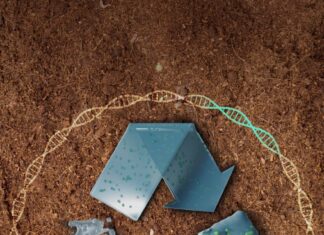 Пластик, который сам себя съедает: ученые создают биоразлагаемые материалы будущего