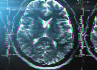 Пандемия и Мозг Подростка: Тайна Ускоренного Старения