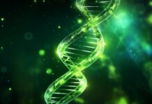 Тайна Долголетия: Ген OSER1 — Ключ к Молодости?