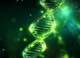 Тайна Долголетия: Ген OSER1 — Ключ к Молодости?