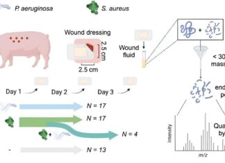 Дешифровка Кода Заражения: Алгоритм Позволяет Новым Глазом Глядеть на Инфекции