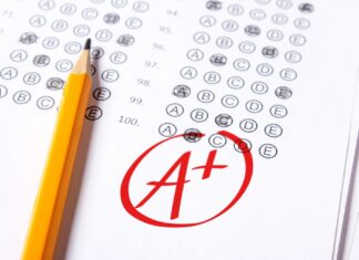 Интеллект — это лишь половина успеха: Эмоциональный интеллект раскрывает секрет академических высот