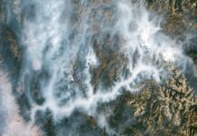 Огненный Дракон Айдахо: Неукротимый пожар Вапити пожирает леса