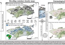Искусственный интеллект в борьбе с комарами: карты будущего для спасения жизней