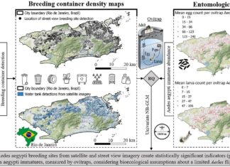 Искусственный интеллект в борьбе с комарами: карты будущего для спасения жизней