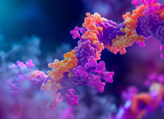 Расширение Биологического Алфавита: Ученые Создают Новые Белки с «Необычными» Кирпичиками