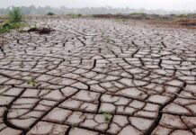 Тайны Древних Морей: Ученые Откроли Гигантские Эль-Ниньо и Ла-Нинья Прошлого