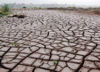 Тайны Древних Морей: Ученые Откроли Гигантские Эль-Ниньо и Ла-Нинья Прошлого