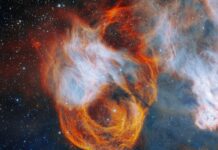 Космічна квітка: Народження і життя в серці Магелланової Хмари