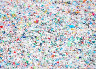 Мозговой Туман: Микропластик Проникает в Обитель Мыслей