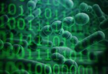 Мікроскопічний світ у цифровому Всесвіті: APOLLO-Ключ до нових медичних послуг