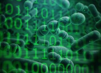 Мікроскопічний світ у цифровому Всесвіті: APOLLO-Ключ до нових медичних послуг