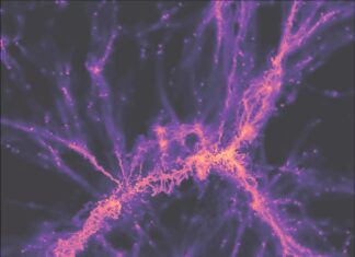 Розкриваючи Таємниці Космічної Павутини: Перше Ясне “Зображення” Вселенської Сітки