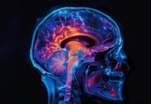 Таємниця холестерину: одкровення, яке може змінити лікування Паркінсона