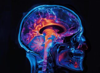 Таємниця холестерину: одкровення, яке може змінити лікування Паркінсона