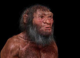 Чому у загадкової групи древніх людей немає видової назви