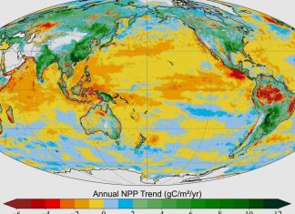 Глобальне дослідження виявило сплеск фотосинтезу на суші, компенсований океанами
