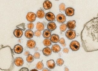 Випробування на людях вказують шлях до створення мРНК-вакцини проти ВІЛ