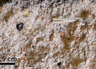 Радіовуглецевий аналіз показує, що Єрусалимська Силоамська дамба була побудована в 800 р. До н. е. для протидії кліматичній кризі