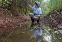 Канави як водні шляхи: управління “просторами канав” для Зміцнення громад та навколишнього середовища