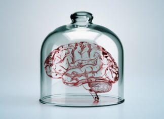 Крихітні мізки », вирощені в лабораторіях, може стати свідомим і відчувати біль — і ми не готові