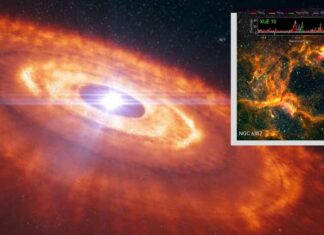 Космічний телескоп Джеймса Вебба виявив дивний планетоутворюючий диск навколо молодої зірки