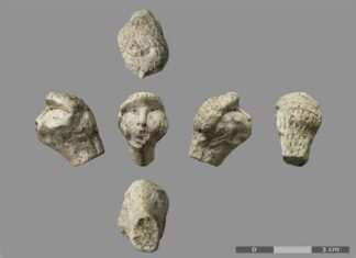 Чи нагадує ця скульптурна голова зачіску стародавнього мисливця-збирача?