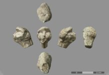 Чи нагадує ця скульптурна голова зачіску стародавнього мисливця-збирача?