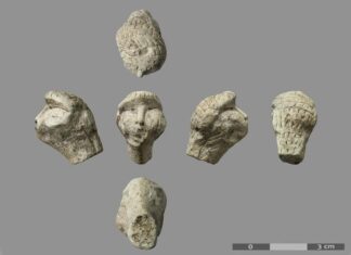 Чи нагадує ця скульптурна голова зачіску стародавнього мисливця-збирача?