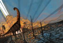 Z nowych analiz wynika, że dinozaury kwitły przed uderzeniem asteroidy