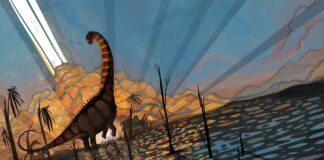 Динозавры процветали до падения астероида, показал новый анализ