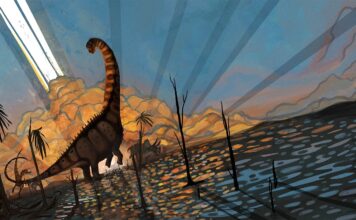 Z nowych analiz wynika, że dinozaury kwitły przed uderzeniem asteroidy