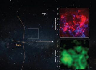 Телескоп Грін-Бенк показує прохолодний «темний» газ у Лебеді Х